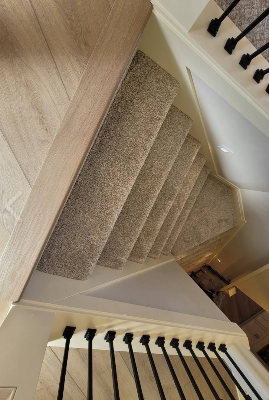 A staircase with a carpeted staircase and black railing