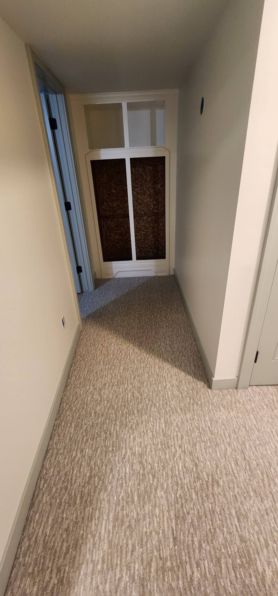 A hallway in a house with a carpeted floor and a door.
