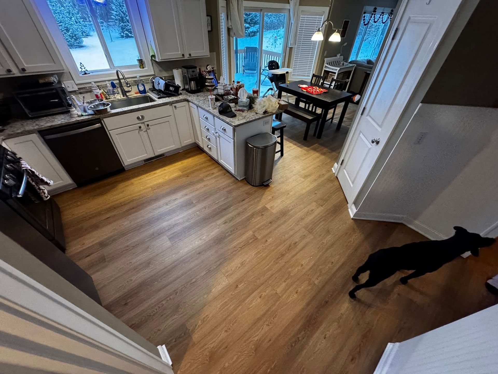 A black dog is standing in the middle of a kitchen.