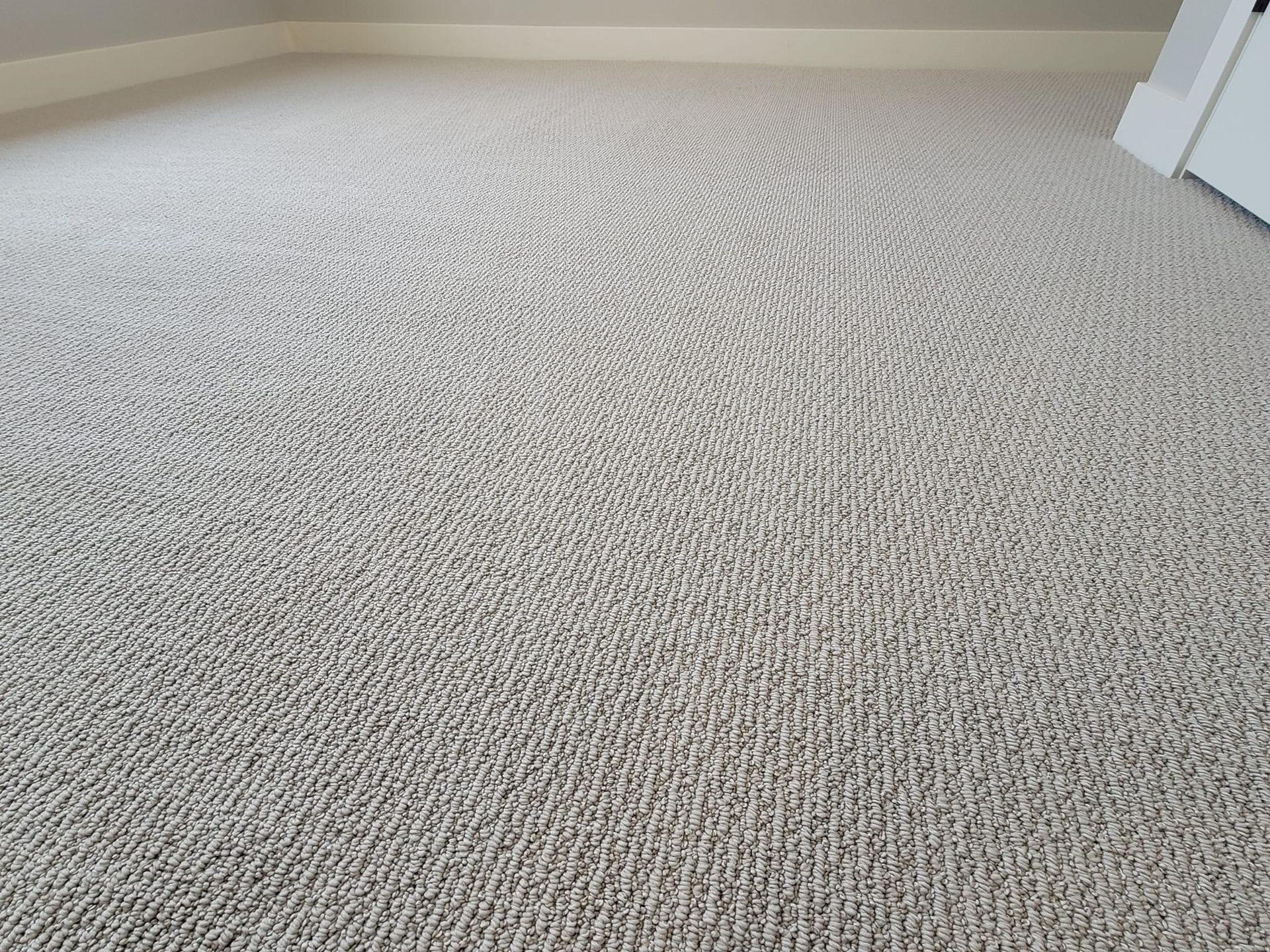 A close up of a white carpeted floor in a room.