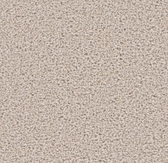 Beige, textured carpet.