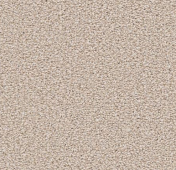 Beige carpet with a speckled, low-pile texture.