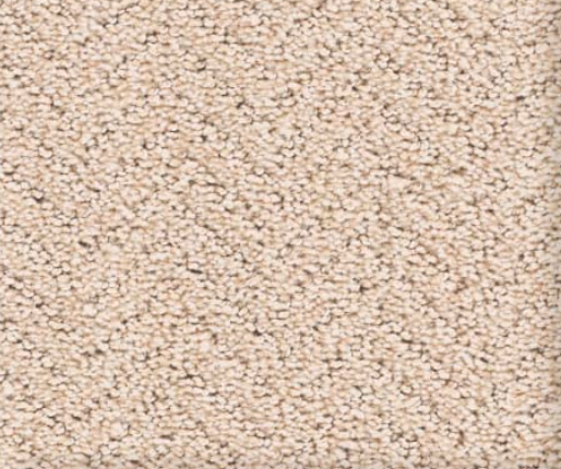 Beige, flecked carpet texture.