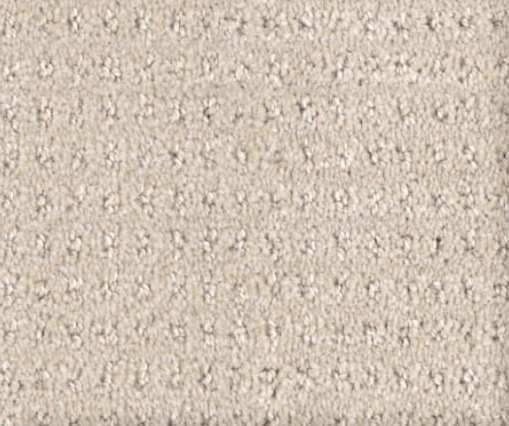 Beige carpet with a patterned, looped texture.