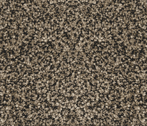 Close-up of speckled carpet, primarily shades of brown, beige, and black.
