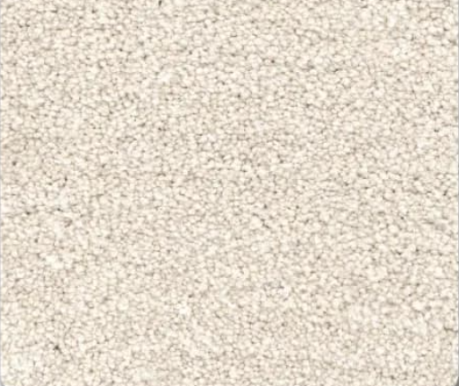 Close-up view of light beige textured carpet.