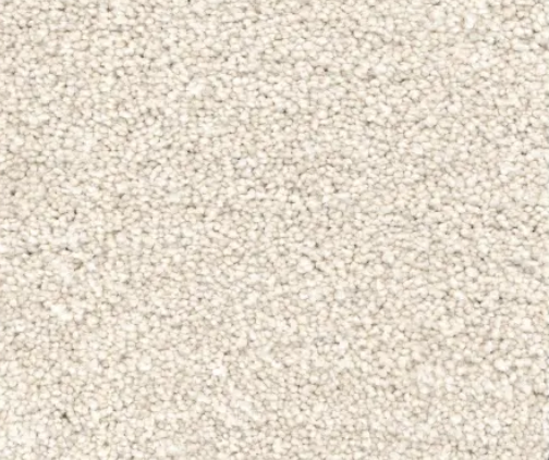 Cream-colored carpet with a looped texture, filling the frame.