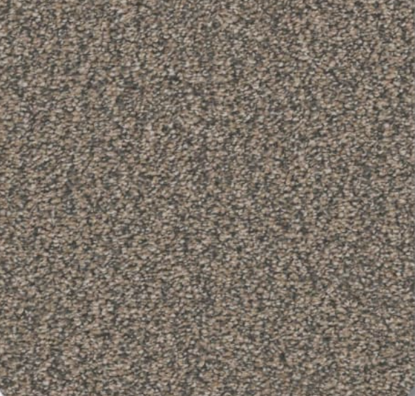 Beige and brown speckled carpet texture.