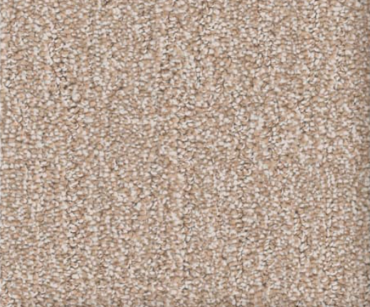 Tan and cream-colored carpet with a textured, looped appearance.