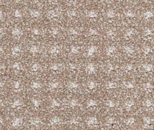 Beige carpet with textured pattern.