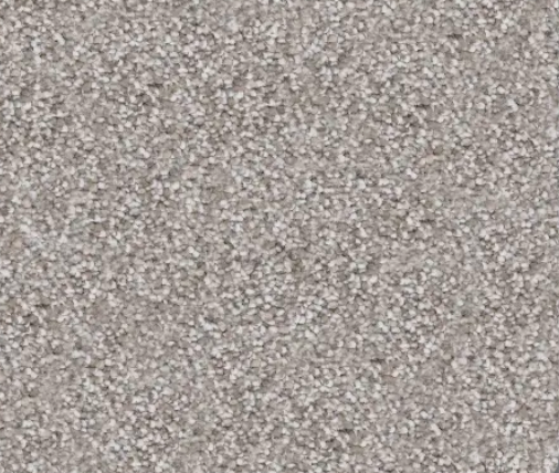 Gravel surface, light gray and speckled texture.