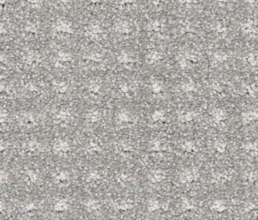 Gray carpet with textured, patterned loops.