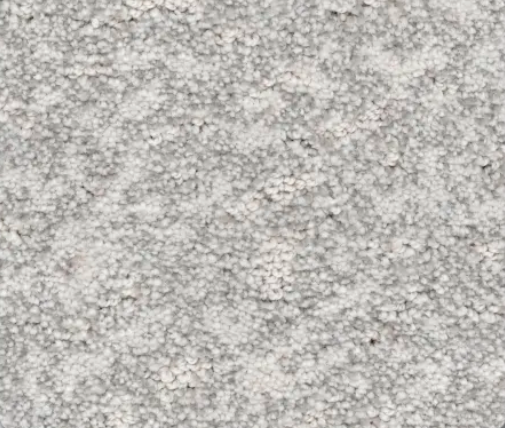 Close-up of light gray textured carpet, showing a dense, looped pile.