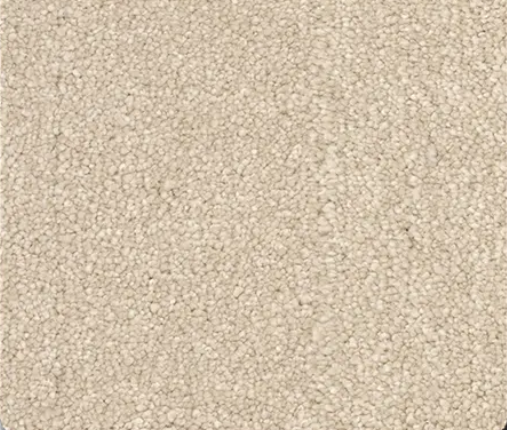 Beige-colored textured carpet, tightly packed with small, rounded fibers.