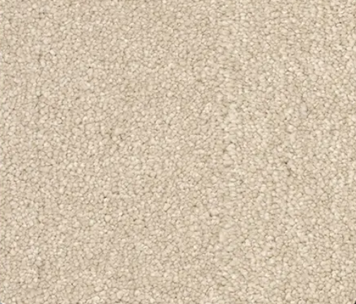 Beige, textured carpet.