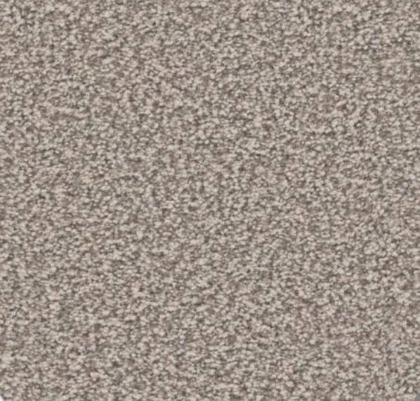 Speckled gray surface texture.