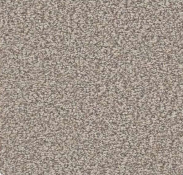 Tan speckled carpet texture.