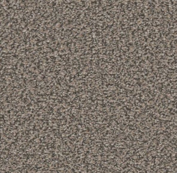 Close-up of brown speckled carpet texture.