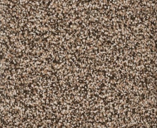 Close-up of brown and tan speckled carpet.
