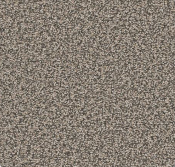 Close-up of a speckled, textured surface; primarily gray and light brown.