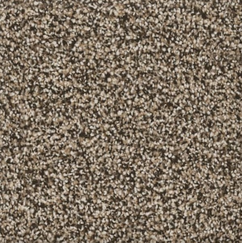 Textured carpet in shades of brown and beige.
