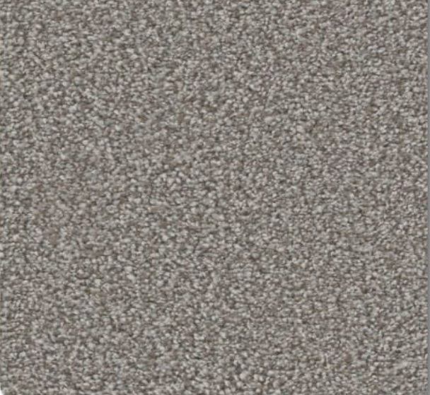 Gray speckled carpet texture.
