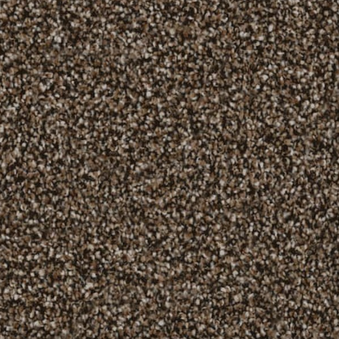 Close-up of brown and tan speckled carpet.