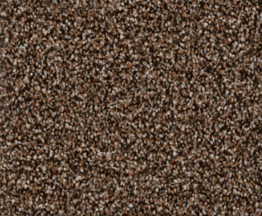 Brown and tan speckled carpet texture.