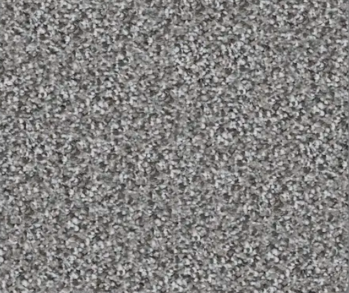 Close-up of a speckled, gray surface.