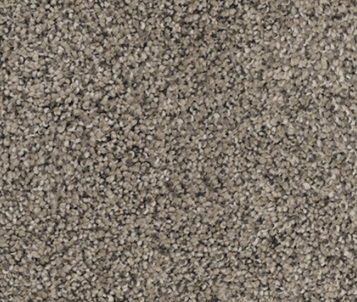 Close-up of a speckled, textured surface; primarily gray and beige tones.