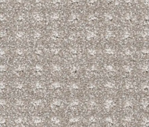 Close-up of a beige carpet with a textured, speckled pattern.