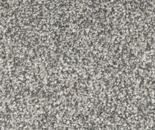 Gray speckled carpet texture.