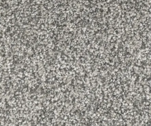 Gray speckled carpet texture.