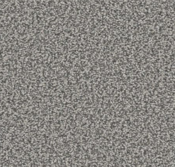 Gray speckled carpet texture.