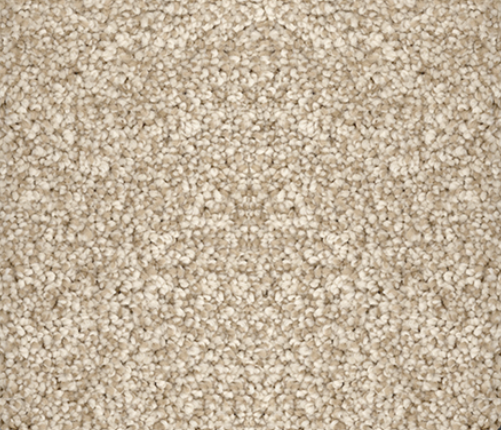 Beige and tan speckled carpet, densely packed texture.