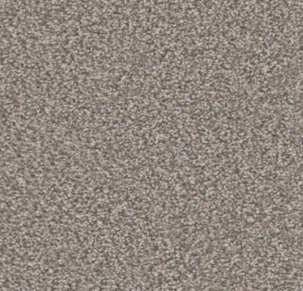 Textured beige carpet, speckled with darker and lighter tones.