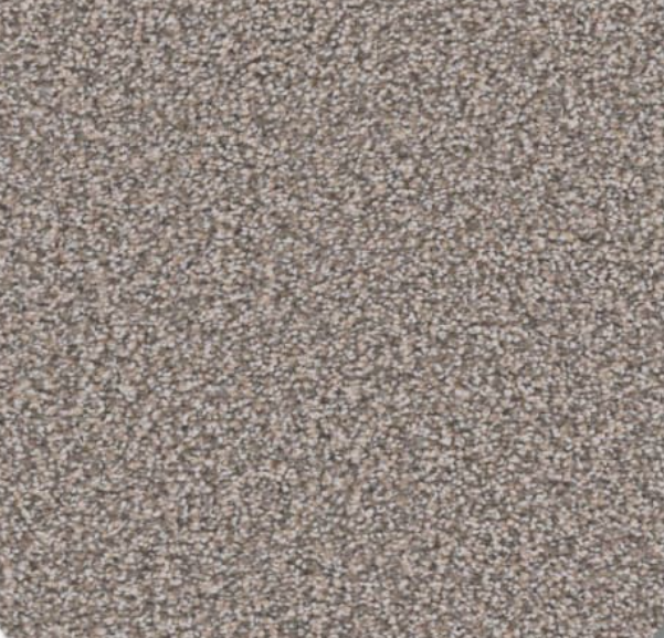 Close-up of neutral-toned speckled carpet.