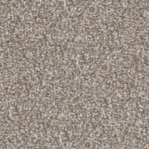Close-up of neutral-toned speckled carpet, with variations of beige and gray.