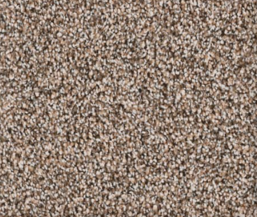 Close-up of brown and beige speckled carpet texture.