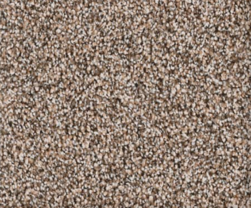 Close-up of speckled brown and tan carpet texture.