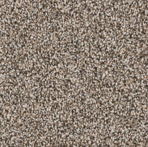 Brown, beige, and white speckled carpet texture.