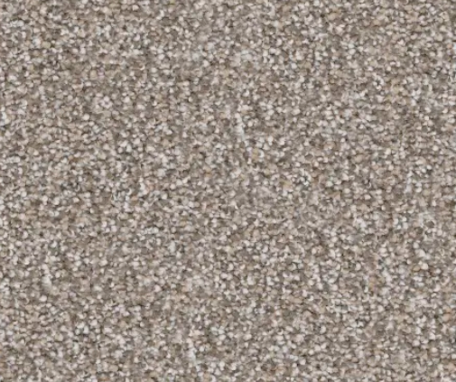 Beige speckled carpet texture.