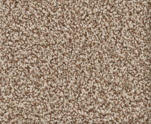Close-up of a beige and brown speckled carpet.