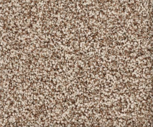 Brown and tan speckled carpet texture.