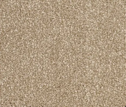 Close-up of beige, textured carpet.