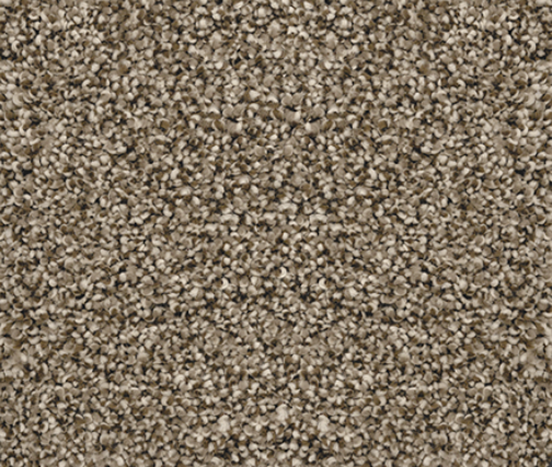 Beige and brown speckled carpet texture.