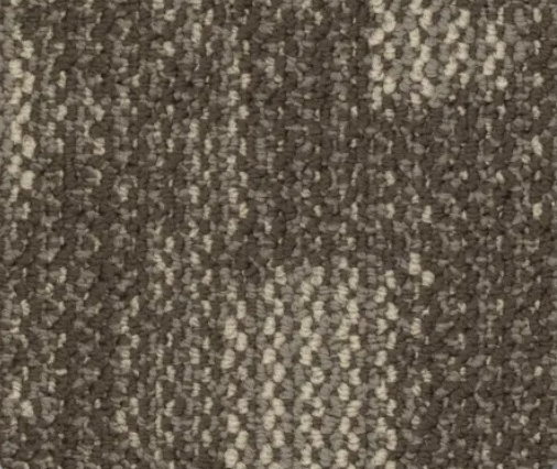Textured carpet, mottled brown and white pattern.