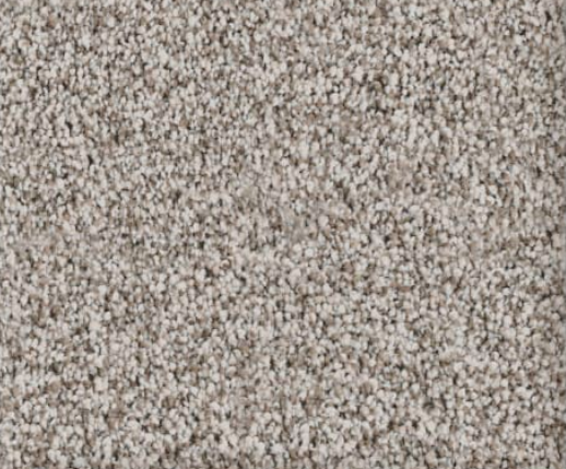 Close-up of beige and gray speckled carpet texture.