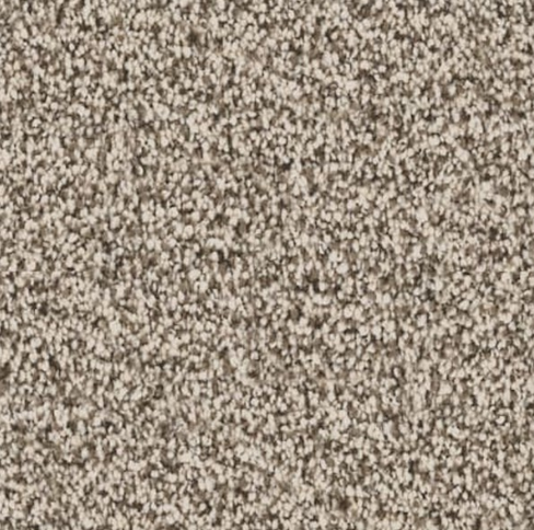 Beige and brown speckled carpet texture.