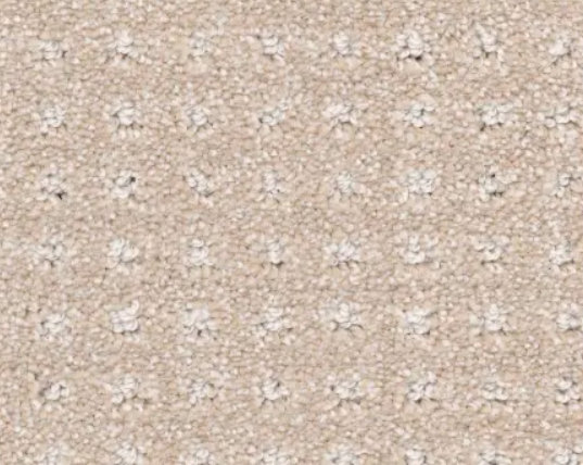 Beige and light brown patterned carpet.